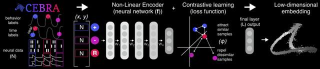 Nature：AI+BCI读心术重大突破，大脑信号1秒被看穿！