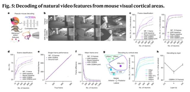 Nature：AI+BCI读心术重大突破，大脑信号1秒被看穿！