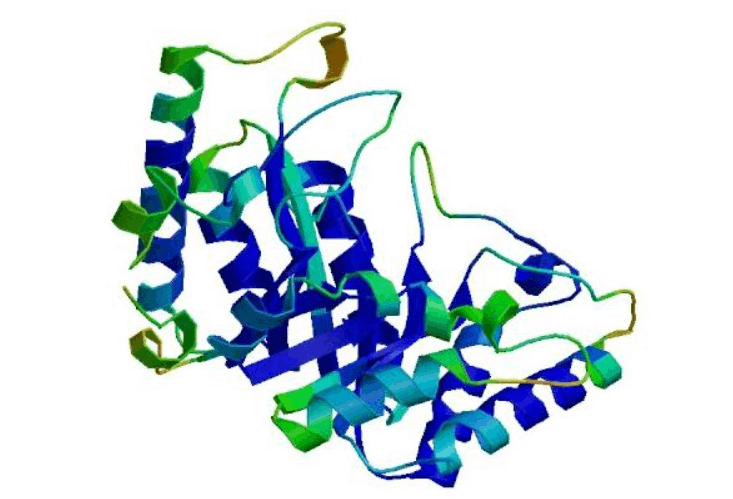 AI首次成功从头生成原始蛋白质，生物界首次从零合成全新蛋白