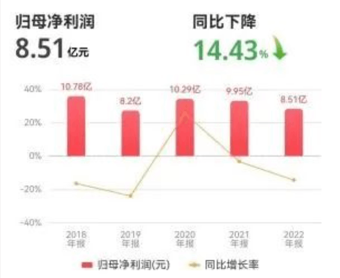 巨人网络的“第二春”仍需要时间来验证 人工智能能否扭转局势呢？