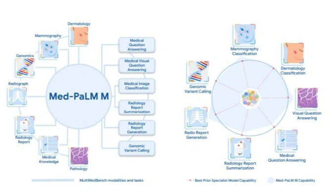 医疗领域的大型模型Med-PaLM M：用于灵活编码和解释生物医学数据